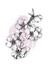 Sakura flowers minimal art Art Print