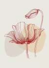 Poppies flowers minimal art Art Print