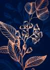 Eucalyptus flowers minimal art Art Print