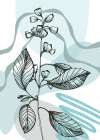 Eucalyptus flowers minimal art Art Print