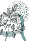 Eucalyptus flowers minimal art Art Print