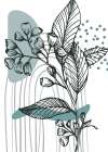 Eucalyptus flowers minimal art Art Print