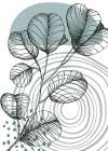 Eucalyptus flowers minimal art Art Print