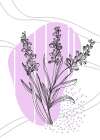 Lavender flowers Art Print