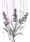 Lavender flowers Art Print