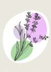 Lavender flowers Art Print