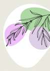 Lavender flowers Art Print