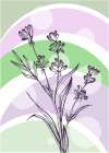 Lavender flowers Art Print