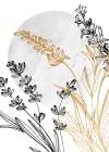 Lavender flowers Art Print