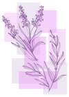 Lavender flowers Art Print