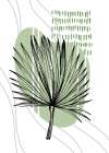 Tropical flowers exotic plants Art Print