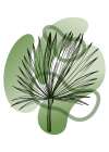 Tropical flowers exotic plants Art Print