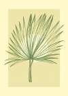 Palm leaves exotic plants Abstract Art Print
