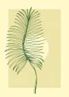 Palm leaves exotic plants Art Print