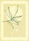 Palm leaves exotic plants Abstract Art Print
