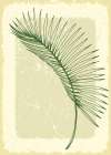 Palm leaves exotic plants Minimalist Print