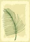 Palm leaves exotic plants Minimalist Print