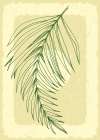 Palm leaves exotic plants Minimalist Print