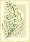 Palm leaves exotic plants Art Print