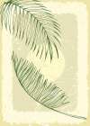 Palm leaves exotic plants Minimalist Print