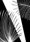 Palm leaves exotic plants Art Print