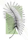 Palm leaves exotic plants Art Print