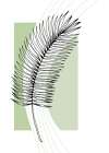 Palm leaves exotic plants Art Print