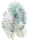 Palm leaves exotic plants Art Print