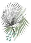 Palm leaves exotic plants Art Print