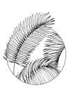 Palm leaves exotic plants Art Print
