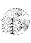 Palm leaves exotic plants Art Print