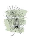 Palm leaves exotic plants Minimalist Print