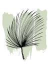 Palm leaves exotic plants Art Print