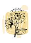 Sunflower minimal art Art Print