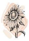 Sunflower minimal art Art Print
