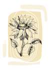 Sunflower minimal art Art Print