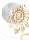 Sunflower minimal art Art Print