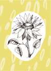 Sunflower minimal art Art Print