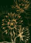 Sunflower minimal art Art Print