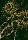 Sunflower minimal art Art Print