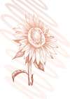 Sunflower minimal art Art Print
