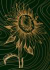 Sunflower minimal art Art Print