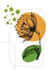 Sunflower minimal art Art Print