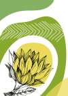 Sunflower minimal art Art Print