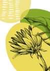 Sunflower minimal art Art Print