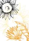 Sunflower minimal art Art Print