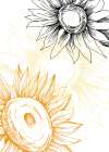 Sunflower minimal art Art Print