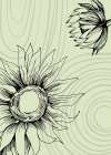 Sunflower minimal art Art Print