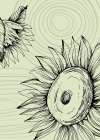 Sunflower minimal art Art Print