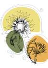 Sunflower minimal art Art Print